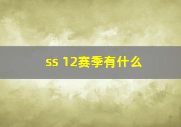 ss 12赛季有什么